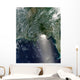 Satellite Oil Spill Is Wall Decal