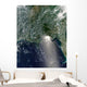 Satellite Oil Spill Is Wall Decal