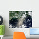 Satellite Streaks and Ribbons Wall Decal