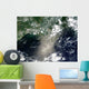 Satellite Streaks and Ribbons Wall Decal