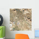 Satellite Persepolis and Surrounding Wall Decal