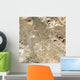 Satellite Persepolis and Surrounding Wall Decal