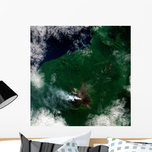 Small Plume Rises from Wall Decal Design 1