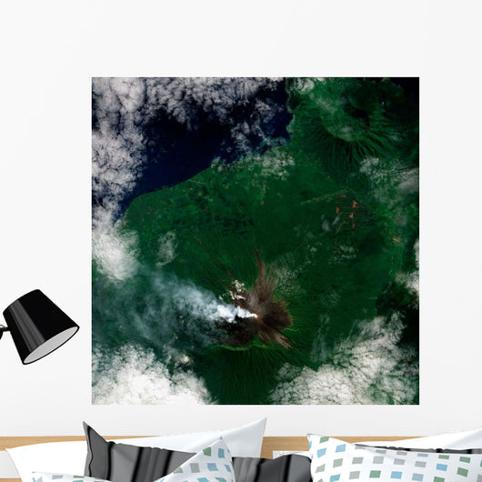 Small Plume Rises from Wall Decal Design 1
