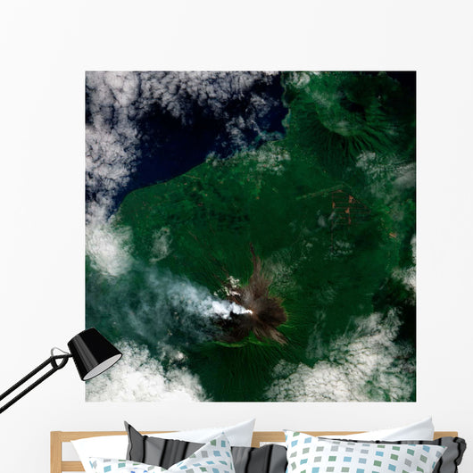 Small Plume Rises from Wall Decal Design 1