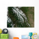 Rocky Mountains Wall Decal