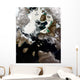 Sea Ice and Sediment Wall Decal