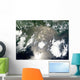 Oil Slick Gulf Mexico Wall Decal Design 4