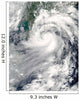 Tropical Storm Chanthu Wall Decal