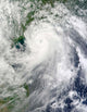 Typhoon Chanthu Wall Decal