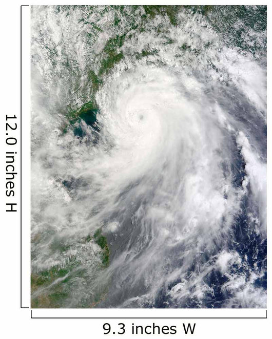 Typhoon Chanthu Wall Decal