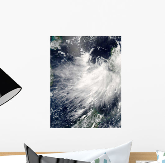 Tropical Storm Conson Wall Decal