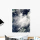 Tropical Storm Conson Wall Decal