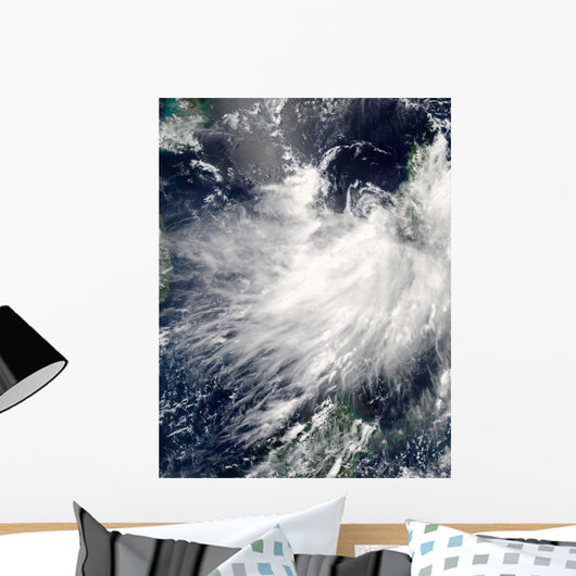 Tropical Storm Conson Wall Decal