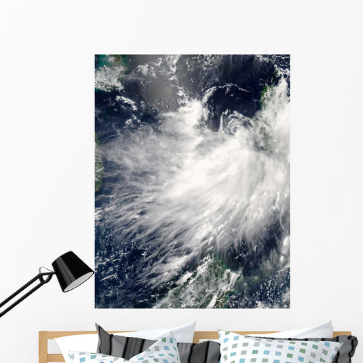 Tropical Storm Conson Wall Decal