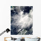Tropical Storm Conson Wall Decal