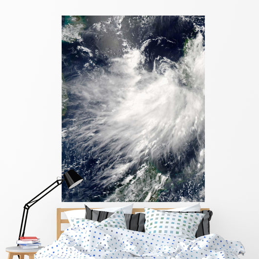 Tropical Storm Conson Wall Decal
