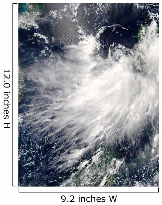 Tropical Storm Conson Wall Decal