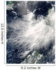 Tropical Storm Conson Wall Decal