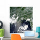 Satellite Gulf Mexico Speckled Wall Decal Design 2