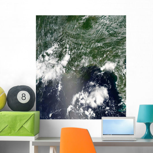 Satellite Gulf Mexico Speckled Wall Decal Design 2