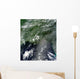 Satellite Gulf Mexico Speckled Wall Decal Design 1