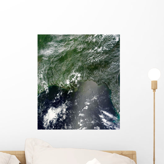 Satellite Gulf Mexico Speckled Wall Decal Design 1