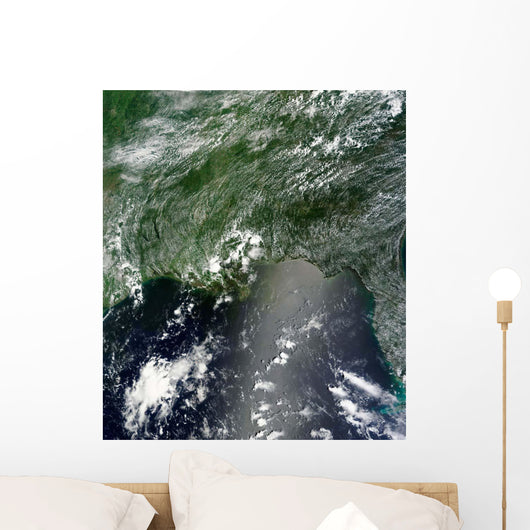 Satellite Gulf Mexico Speckled Wall Decal Design 1