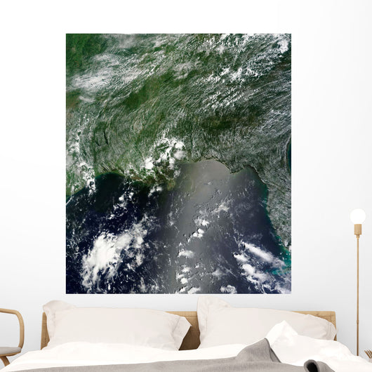 Satellite Gulf Mexico Speckled Wall Decal Design 1
