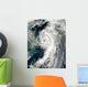 Tropical Storm Dianmu Wall Decal