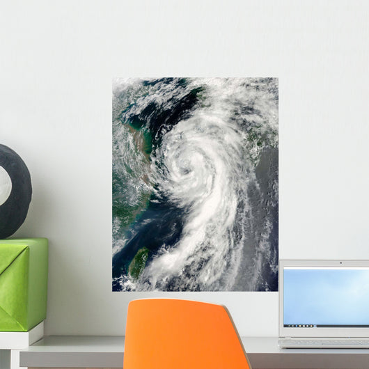Tropical Storm Dianmu Wall Decal