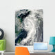 Tropical Storm Dianmu Wall Decal