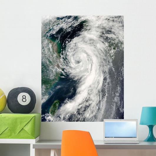 Tropical Storm Dianmu Wall Decal