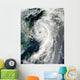 Tropical Storm Dianmu Wall Decal