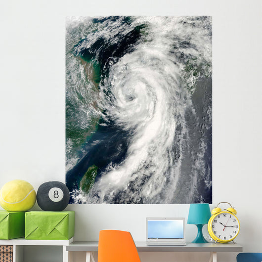 Tropical Storm Dianmu Wall Decal