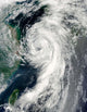 Tropical Storm Dianmu Wall Decal