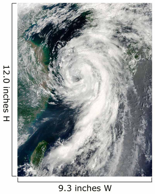 Tropical Storm Dianmu Wall Decal