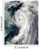 Tropical Storm Dianmu Wall Decal