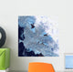 Small Field Glaciers Surrounds Wall Decal