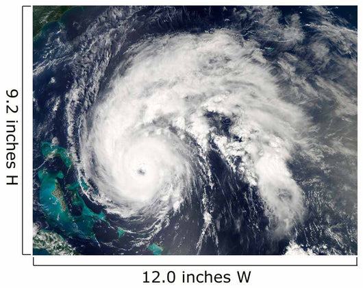 Hurricane Earl Wall Decal Design 7