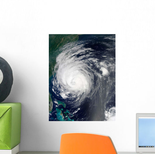 Hurricane Earl Grazing North Wall Decal