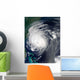 Hurricane Earl Grazing North Wall Decal