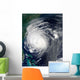 Hurricane Earl Grazing North Wall Decal