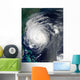 Hurricane Earl Grazing North Wall Decal