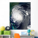 Hurricane Earl Grazing North Wall Decal