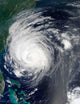Hurricane Earl Grazing North Wall Decal