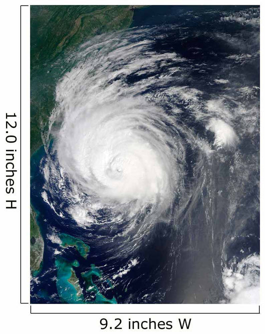 Hurricane Earl Grazing North Wall Decal