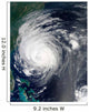 Hurricane Earl Grazing North Wall Decal
