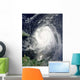 Hurricane Earl Wall Decal Design 6