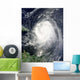 Hurricane Earl Wall Decal Design 6